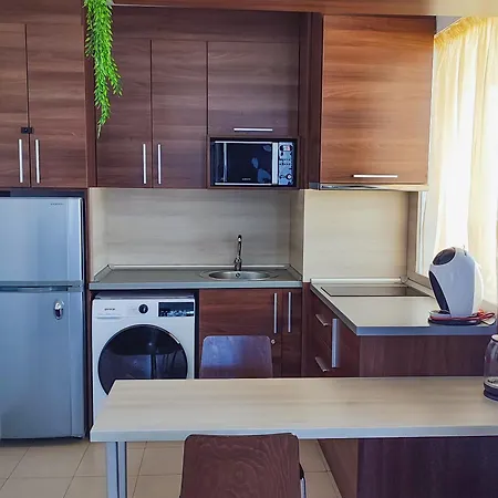 Belvedere Club F403 *